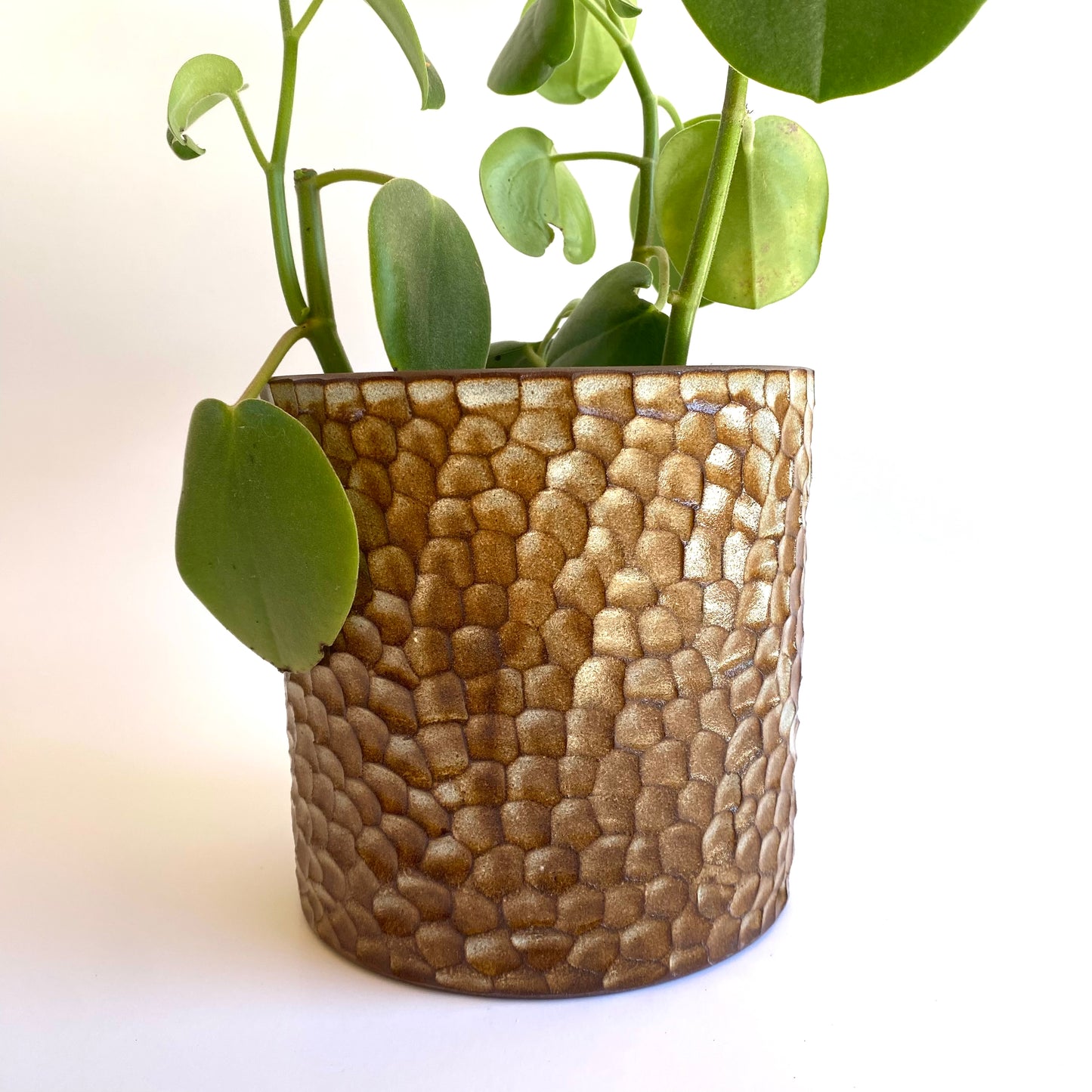 Mataī Planter in Creme Caramel