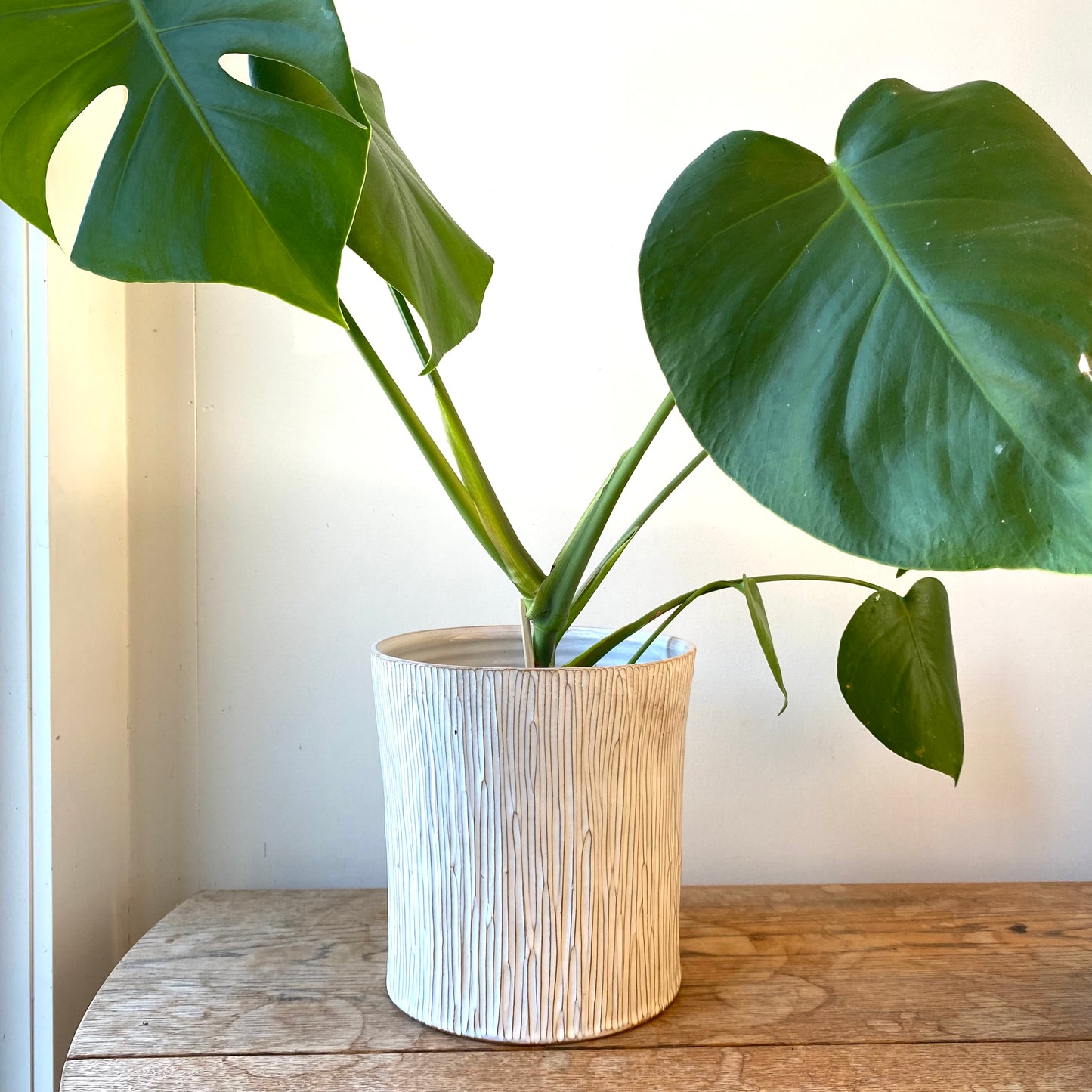 Large Bamboo Planter in white