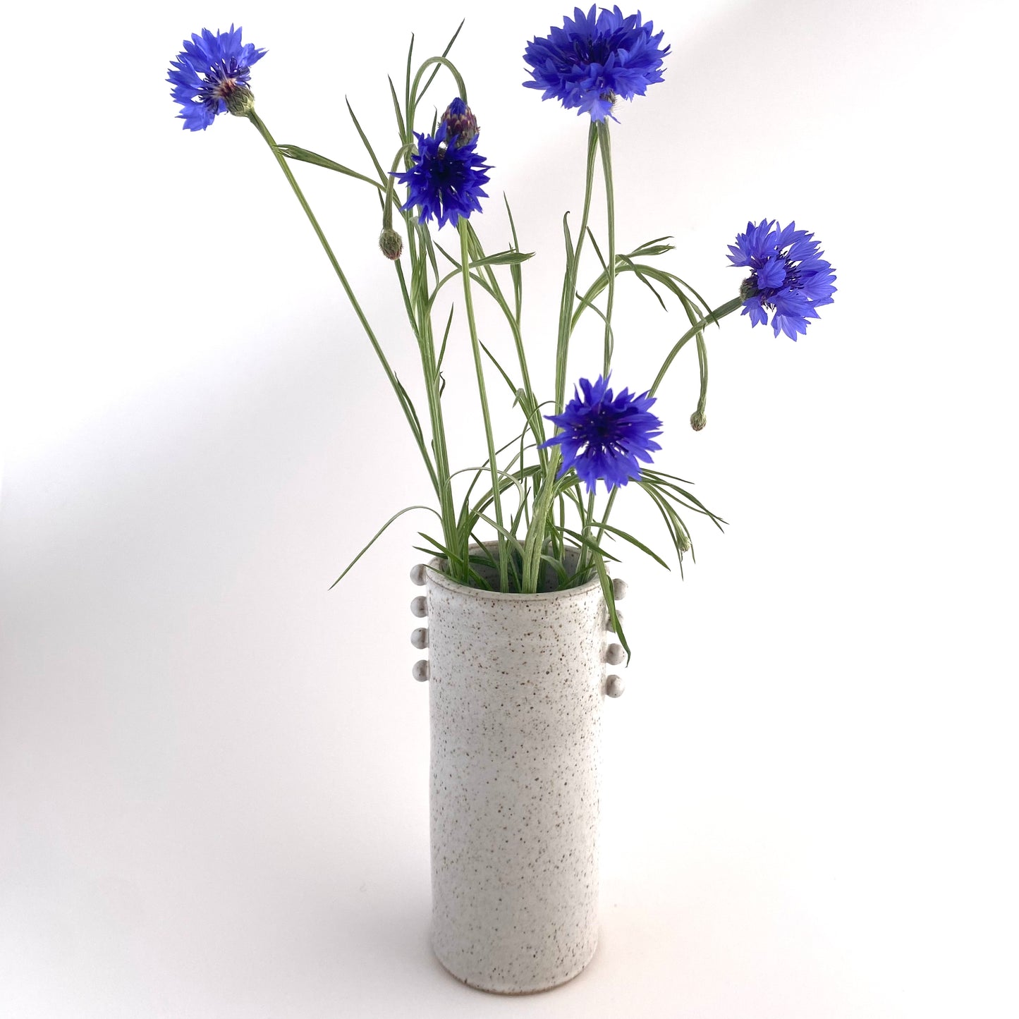 Neptune’s Necklace Vessel 3