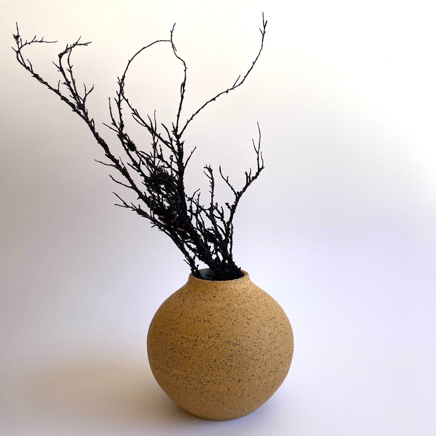 Round Vase: Speckled