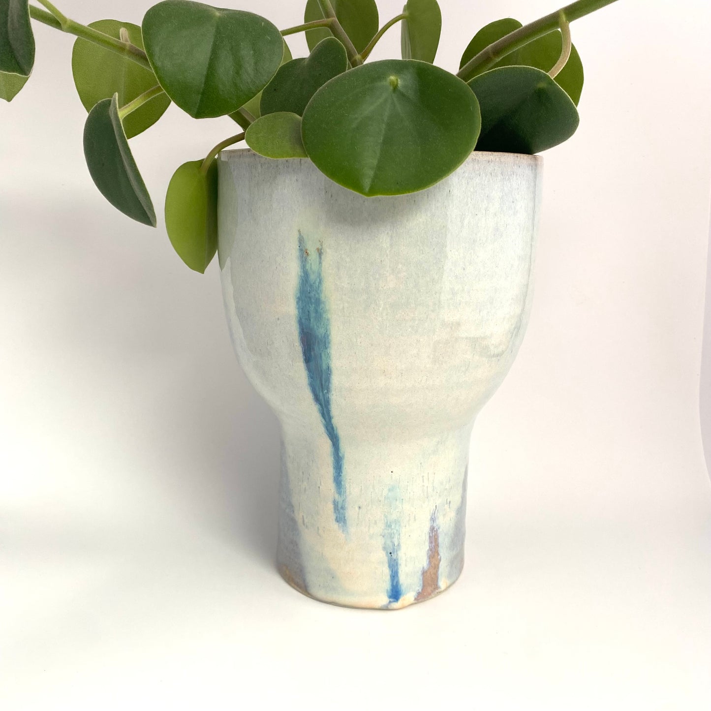Polka Planter