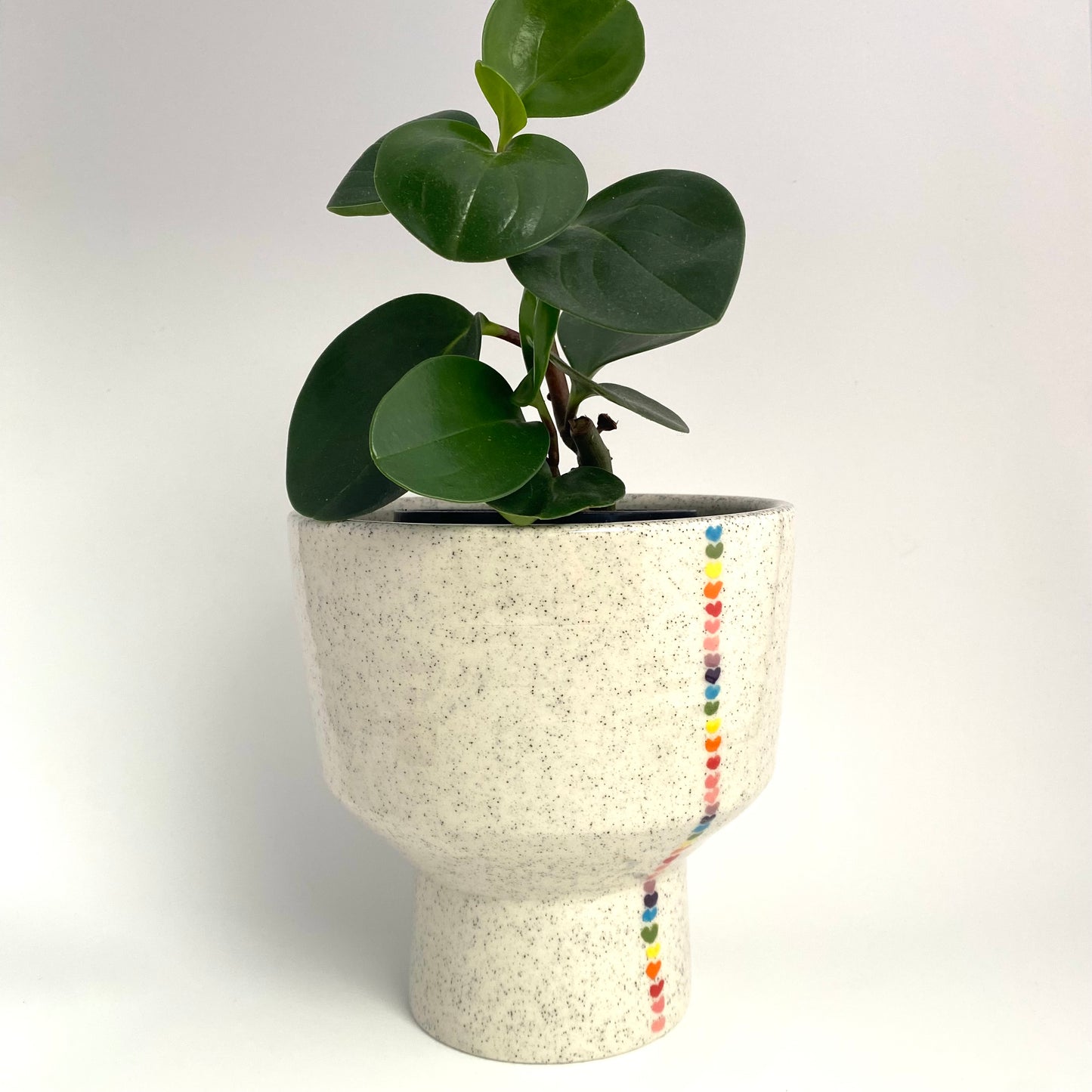 Rainbow Love Planter