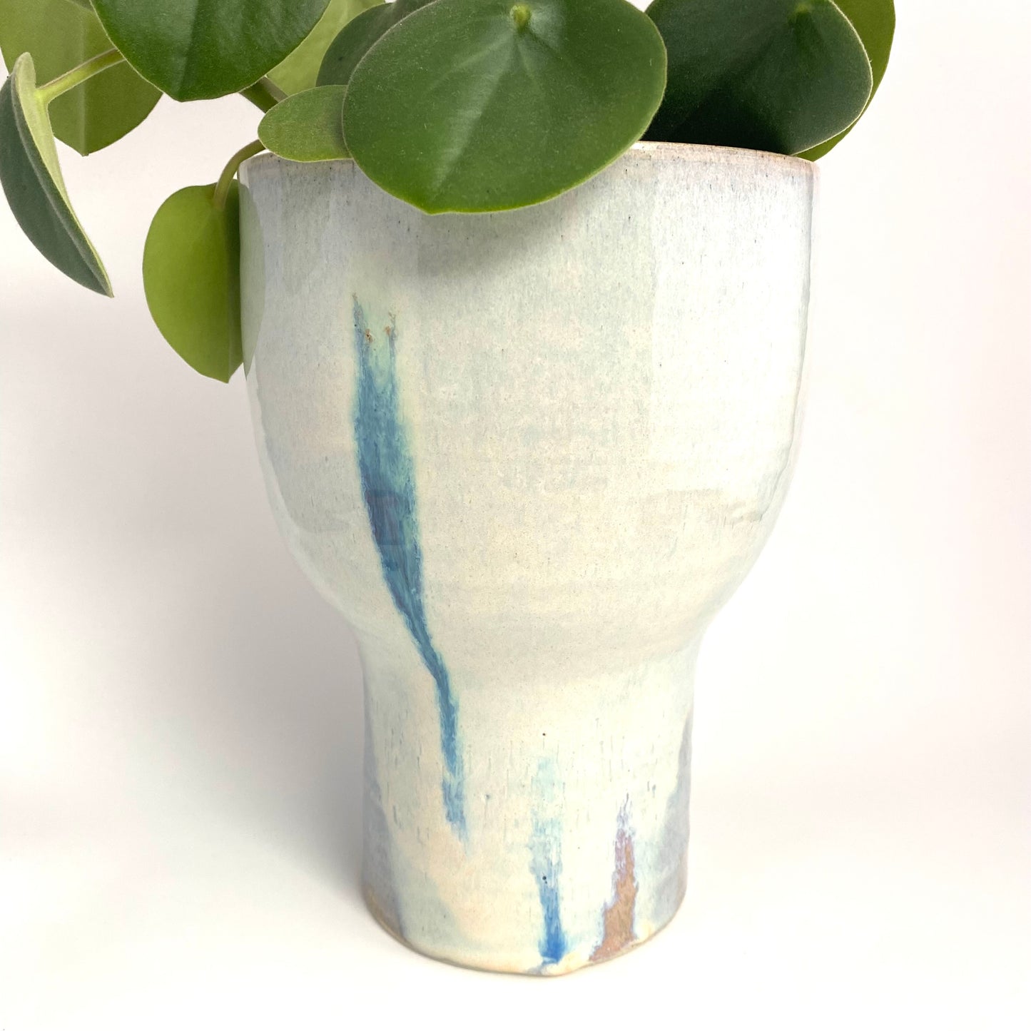 Polka Planter