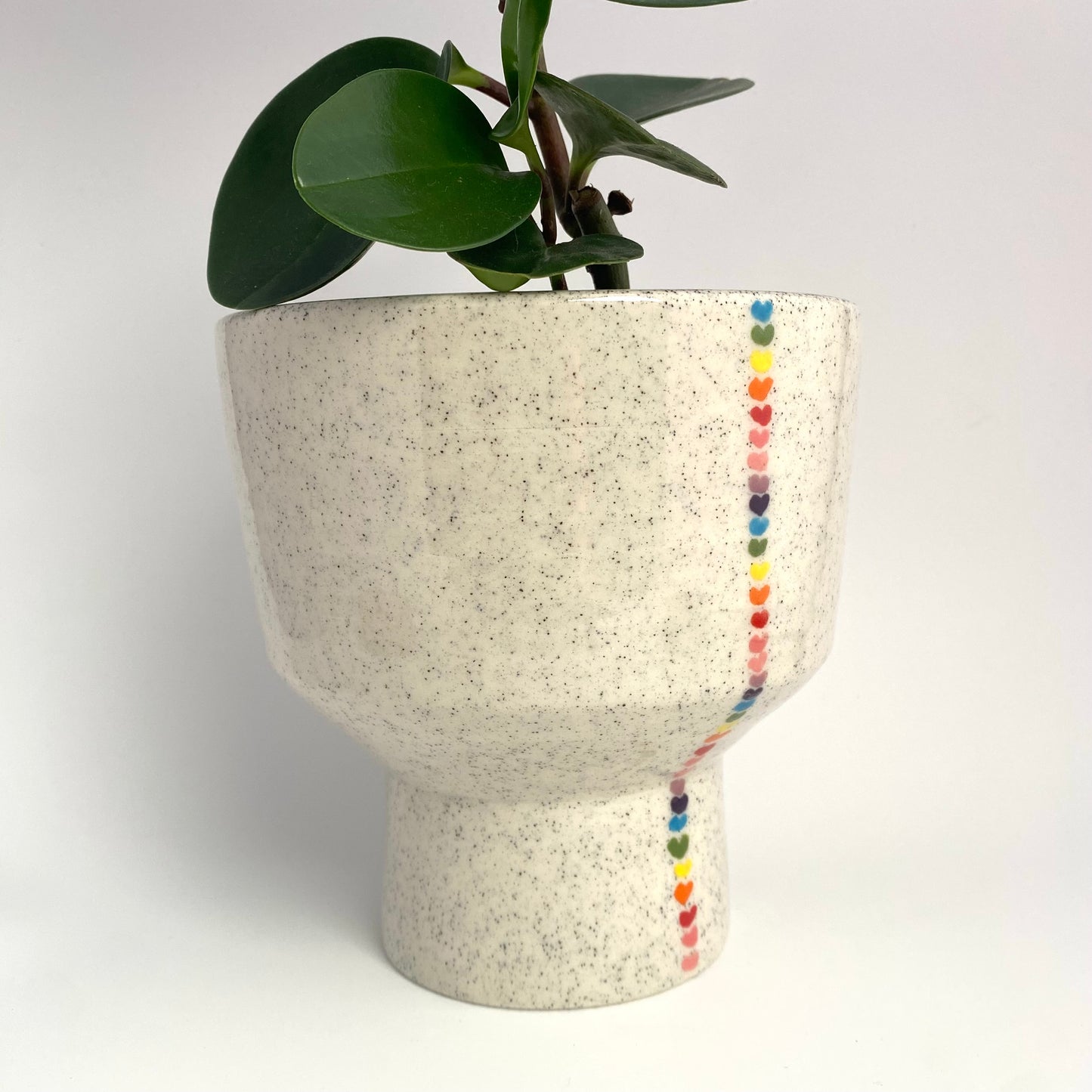 Rainbow Love Planter