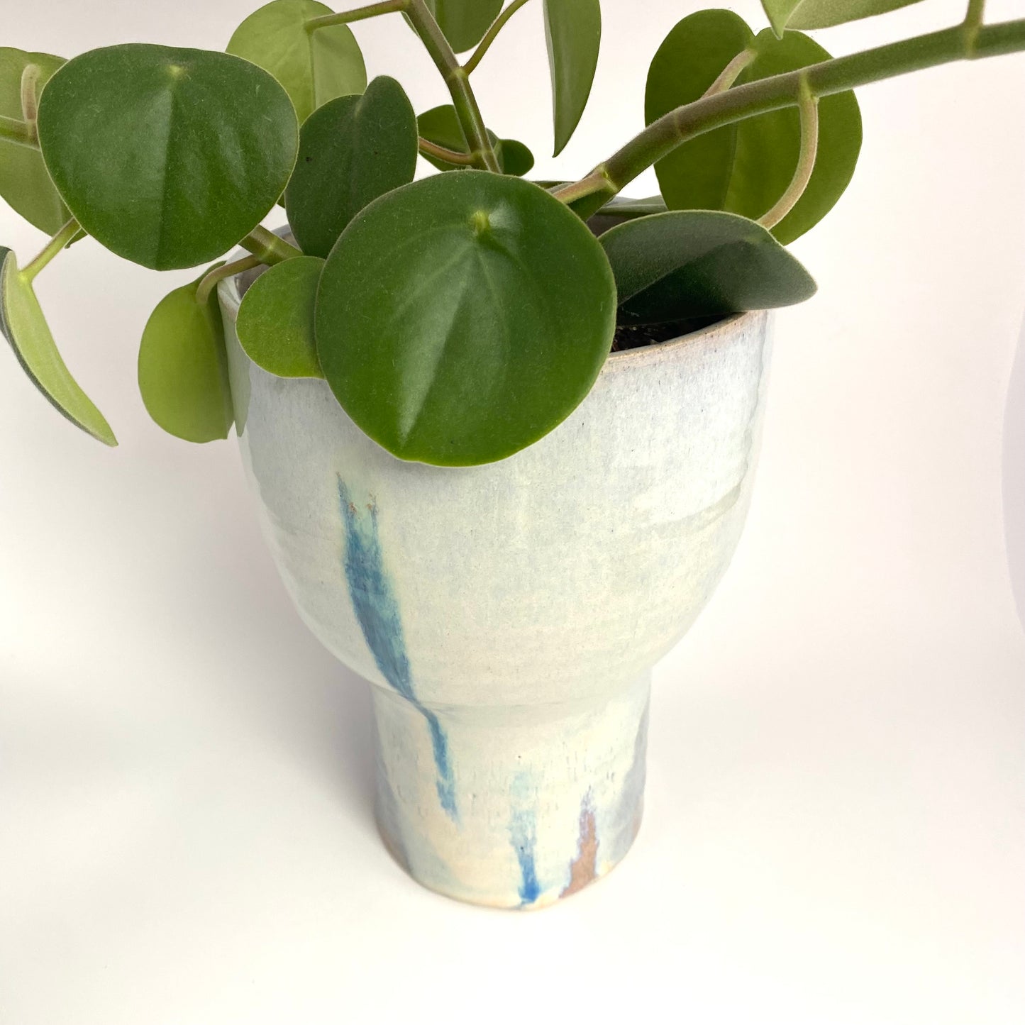 Polka Planter
