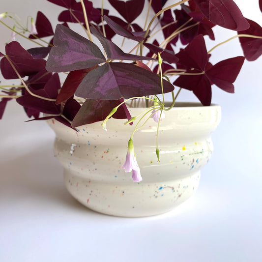 Sprinkles Wavy Planter/bowl