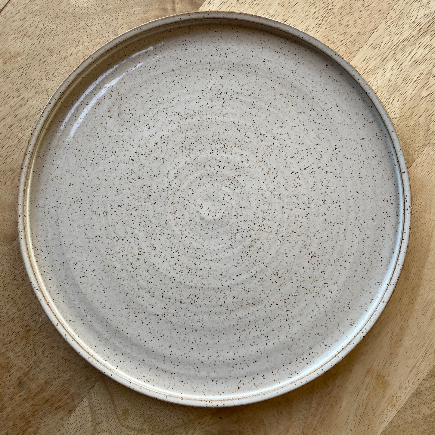Coin Dinner Plate: Speckled White